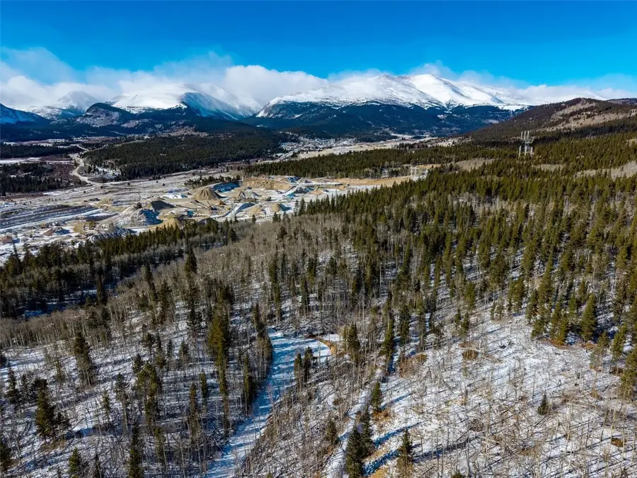 96 Dead Toad Road, Alma, CO 80420 - Image #3