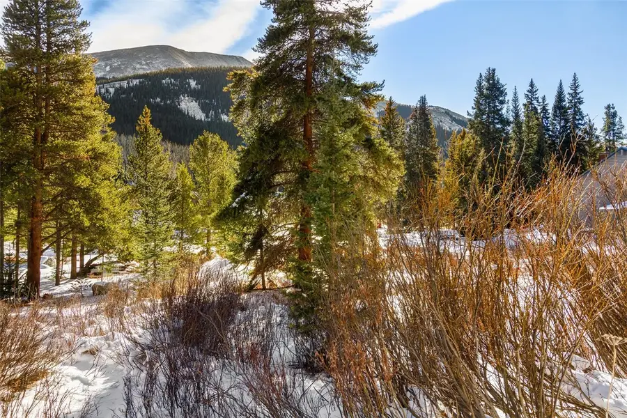 134 (cty rd 804) 97 Circle, Blue River, CO 80424 - Image #3