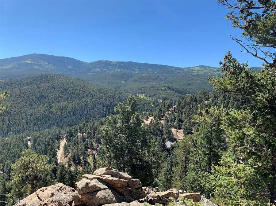 32764 Lodgepole Circle, Evergreen, CO 80439 - #2