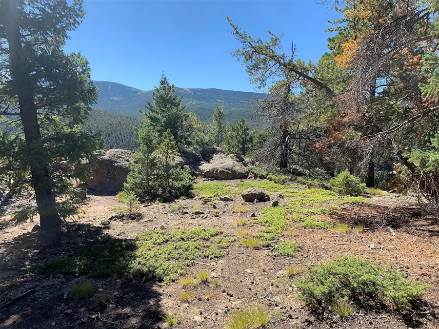 32764 Lodgepole Circle, Evergreen, CO 80439 - #3