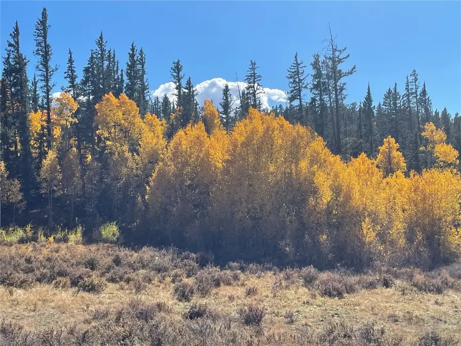 581 Longbow Drive, Como, CO 80432 - Image #2