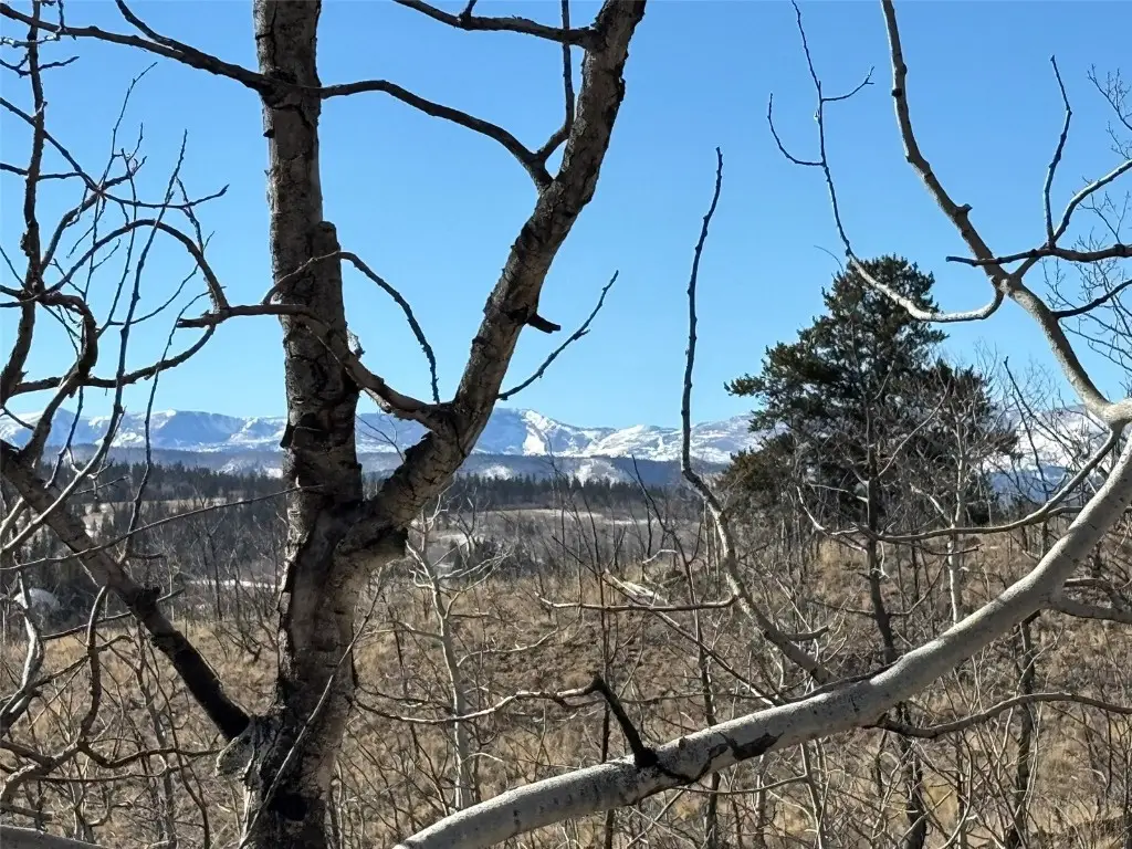 29 Strelets Way, Como, CO 80432 - Image #1