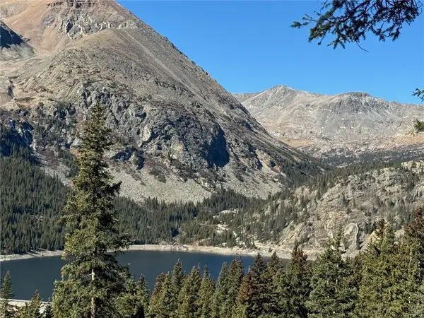 275 Lakeview Drive, Alma, CO 80420