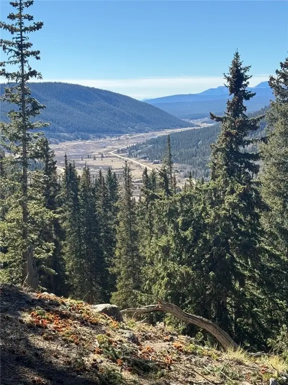 275 Lakeview Drive, Alma, CO 80420 - #2