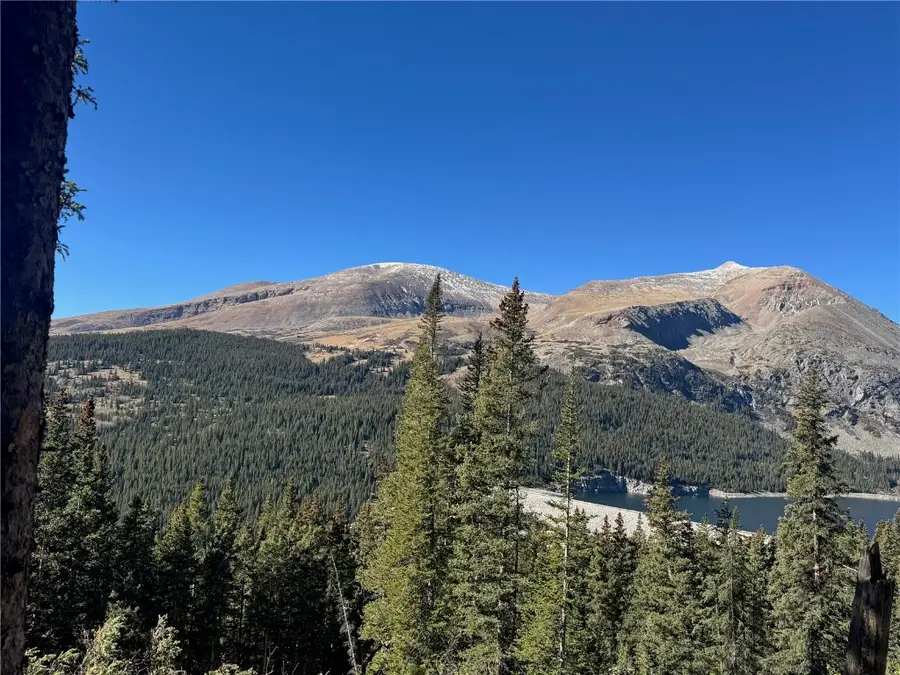 275 Lakeview Drive, Alma, CO 80420 - #3