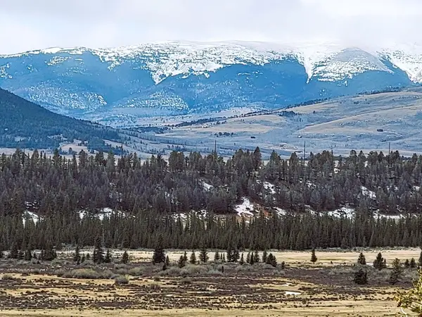 403 Redhill Road, Fairplay, CO 80440