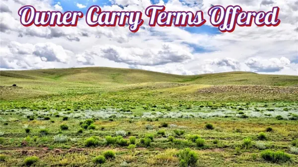 1238 Chicha Road, Hartsel, CO 80449