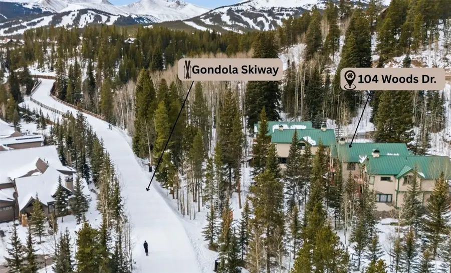 104 Woods Drive, Breckenridge, CO 80424 - Image #3