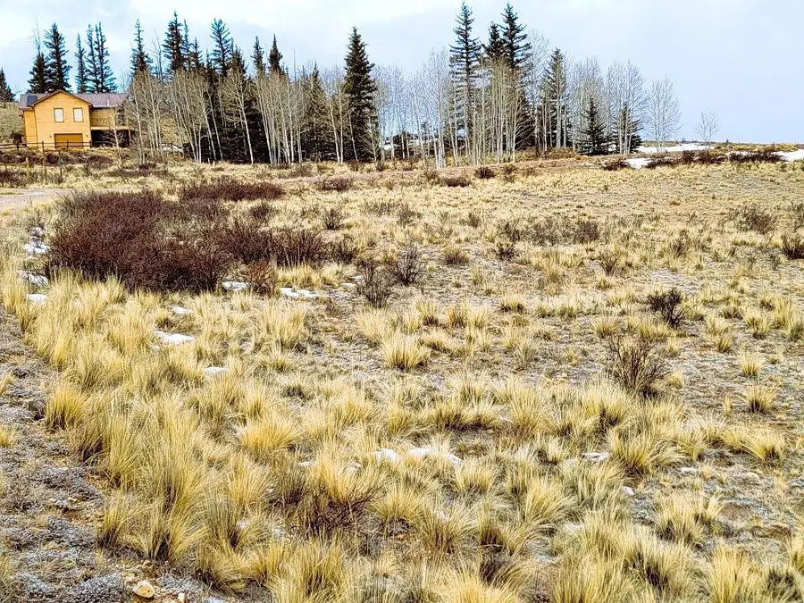 53 Cobb Lane, Como, CO 80432 - Image #2