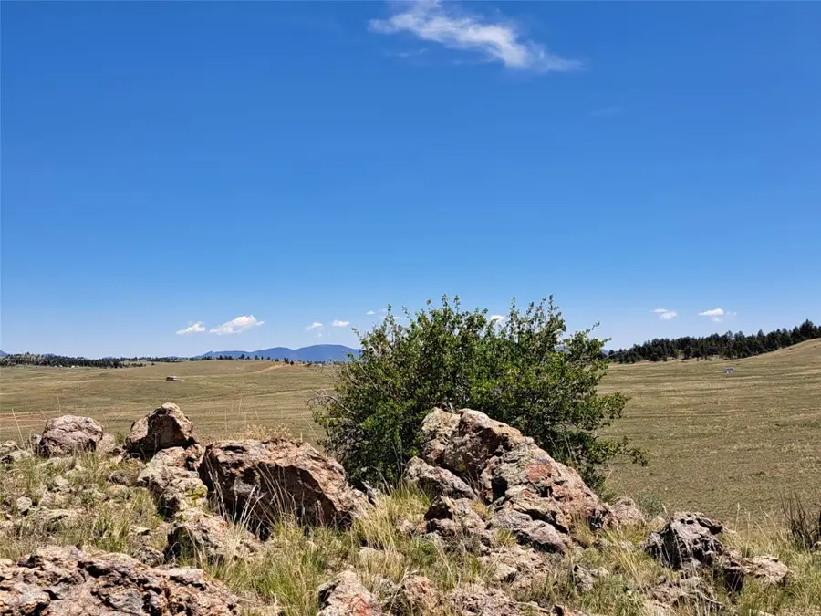 6630 Atoka Road, Hartsel, CO 80449 - Image #2