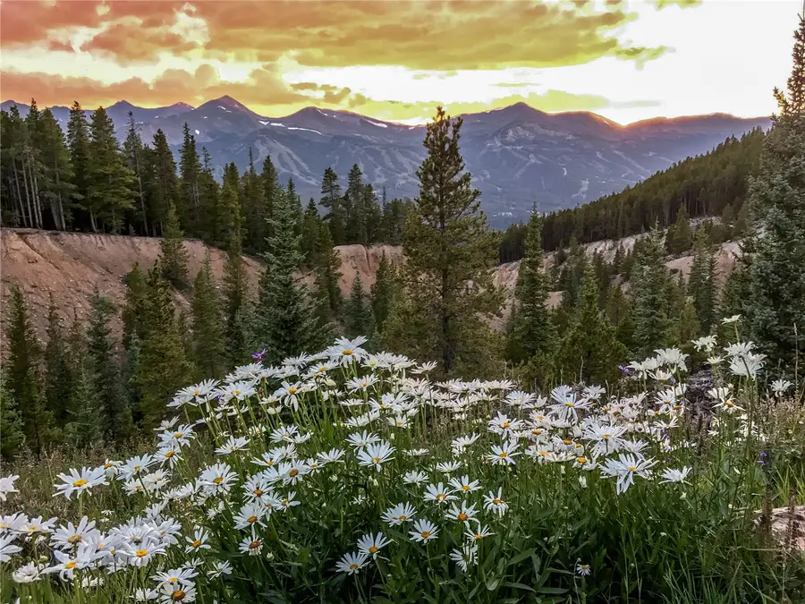 59 Club House Road #C, Breckenridge, CO 80424 - Image #3