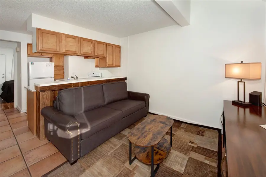 791 Rainbow Drive #791C, Silverthorne, CO 80498 - #2