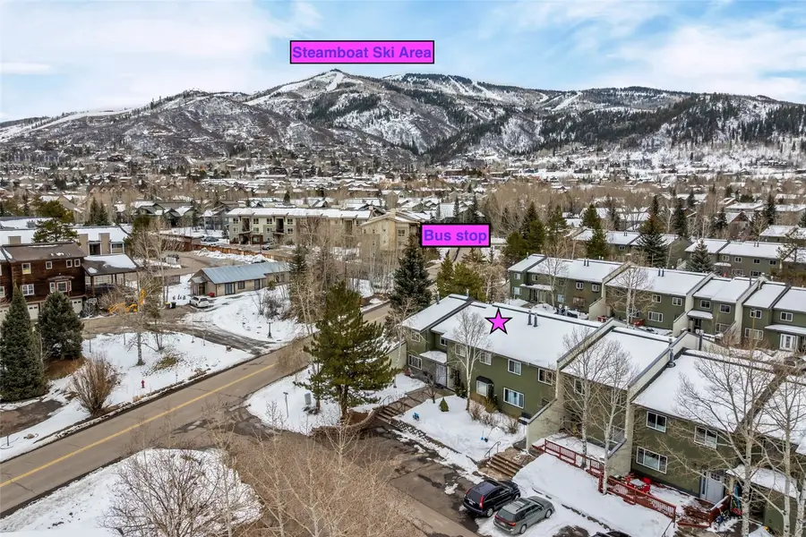 3 Cypress Court #3, Steamboat Springs, CO 80487 - #2