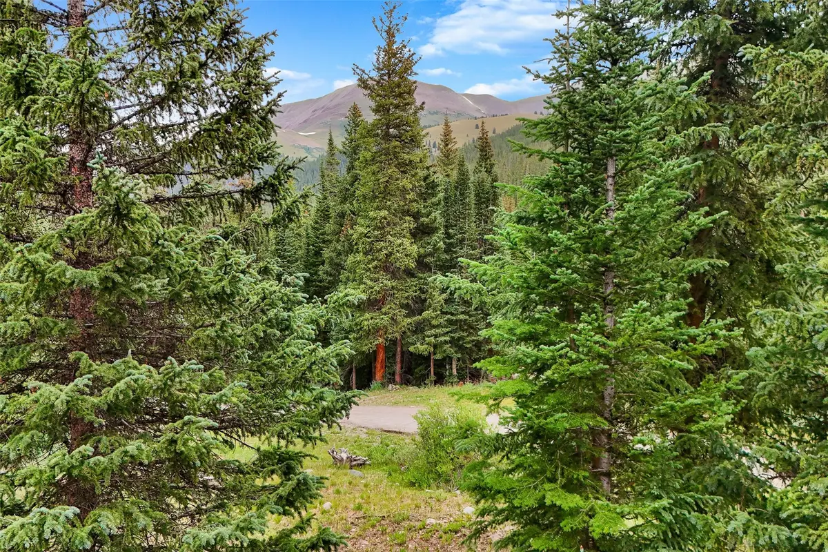 0057 County Road 675, Breckenridge, CO 80424 - Image #1