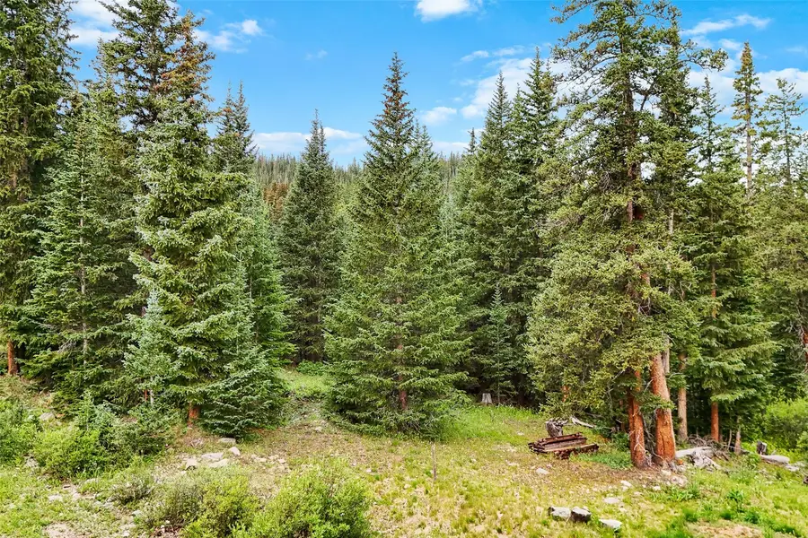 0057 County Road 675, Breckenridge, CO 80424 - Image #3
