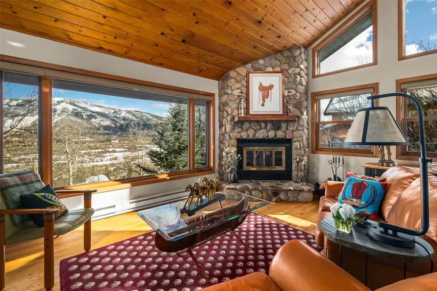 36836 Tree Haus Drive, Steamboat Springs, CO 80487 - #2