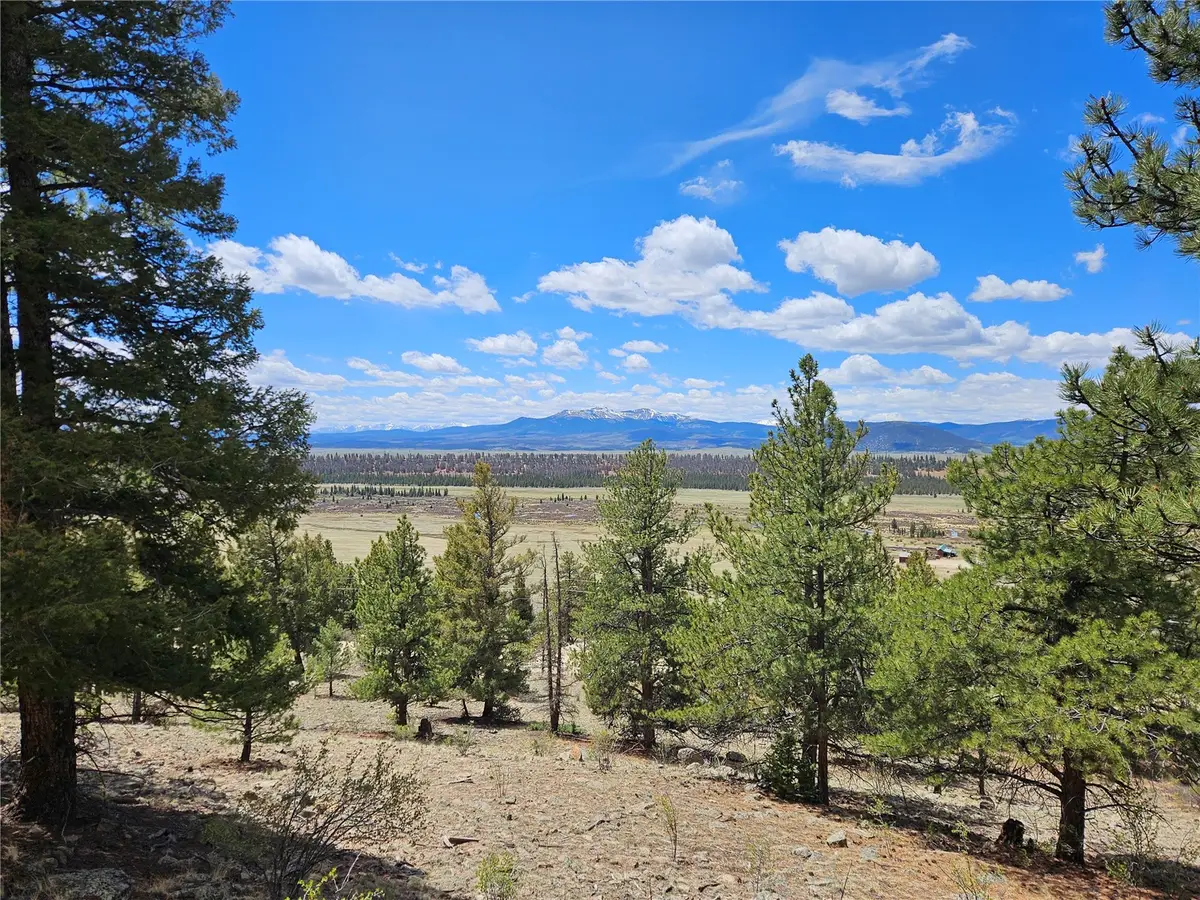 Lot 395 Bonell Drive, Fairplay, CO 80440 - #1