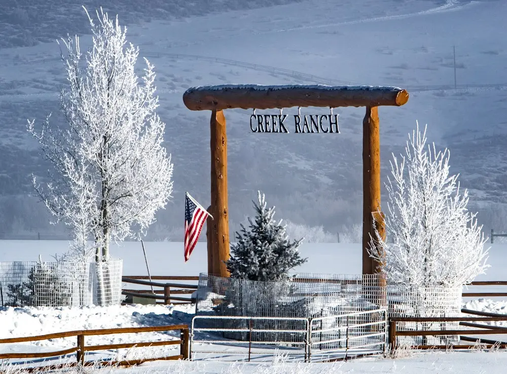 32080 Mack Lane, Oak Creek, CO 80467 - #1