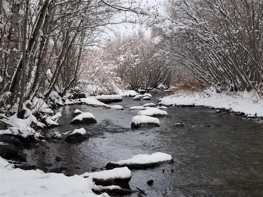 32080 Mack Lane, Oak Creek, CO 80467 - #3