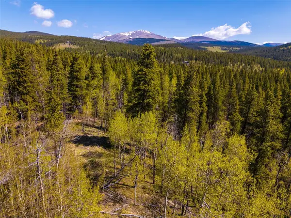 89 Ski Doo Road, Fairplay, CO 80440