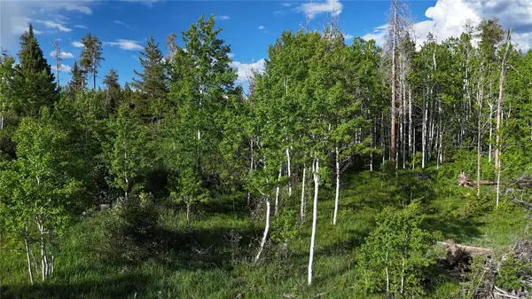 32965 Maverick Way, Oak Creek, CO 80467