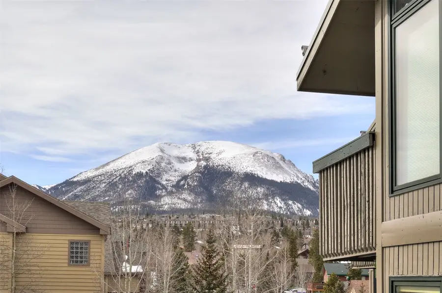 3710 Ryan Gulch Road #378, Silverthorne, CO 80498 - #2