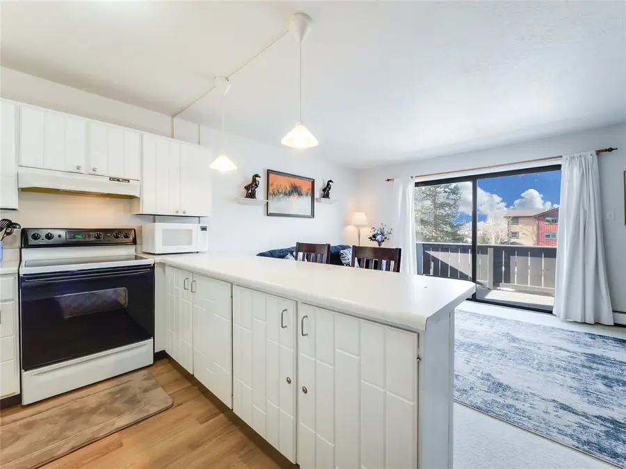 753 Straight Creek Drive #201, Dillon, CO 80435 - #2