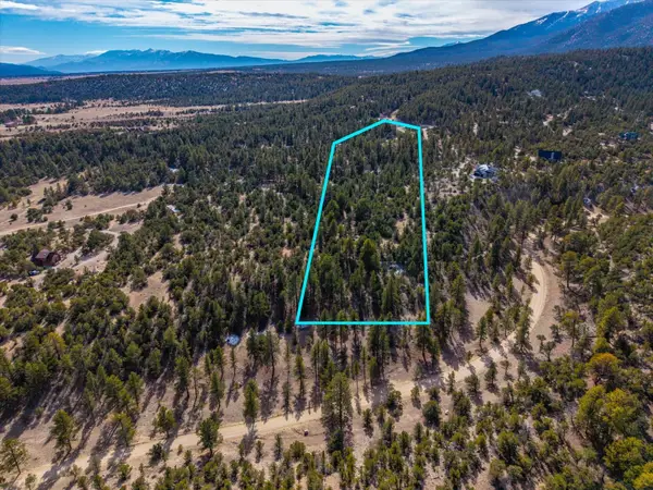 21160 Skyline Drive, Nathrop, CO 81236