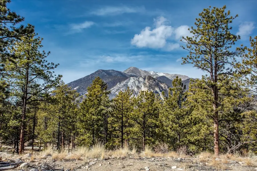 21160 Skyline Drive, Nathrop, CO 81236 - #3