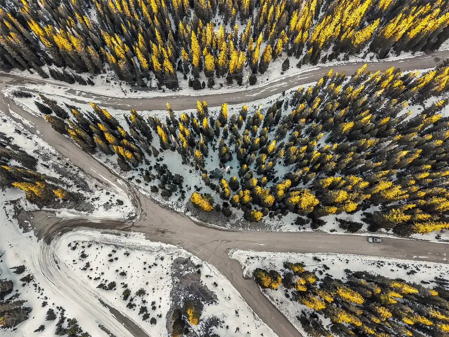 343 Sunshine Drive, Fairplay, CO 80440 - #2