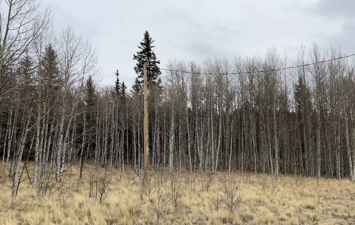 688 Ouray Trail, Como, CO 80432 - #1