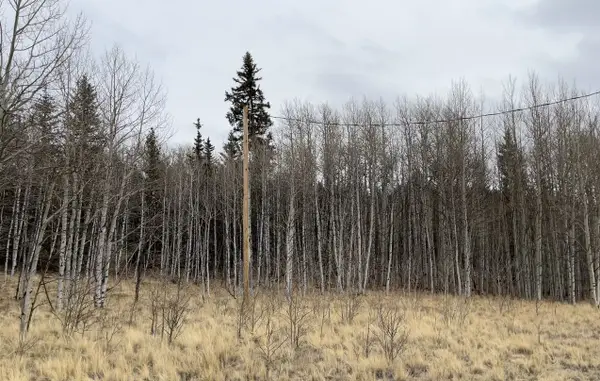 688 Ouray Trail, Como, CO 80432