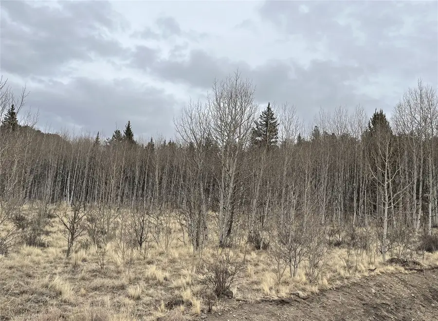 688 Ouray Trail, Como, CO 80432 - #2