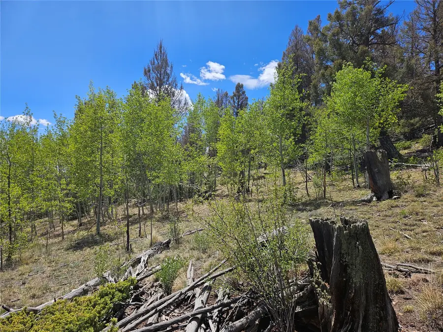 1412 Redhill Road, Fairplay, CO 80440 - #2