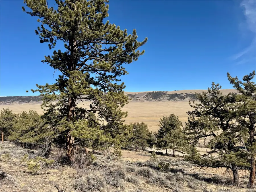 25 Redhill Court, Fairplay, CO 80440 - #3