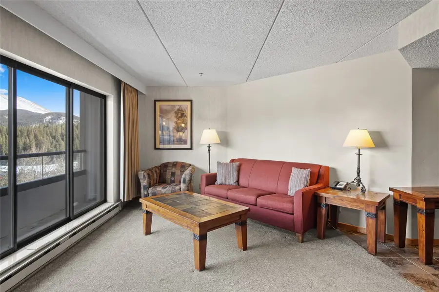 640 Village Road #4501, Breckenridge, CO 80424 - #2