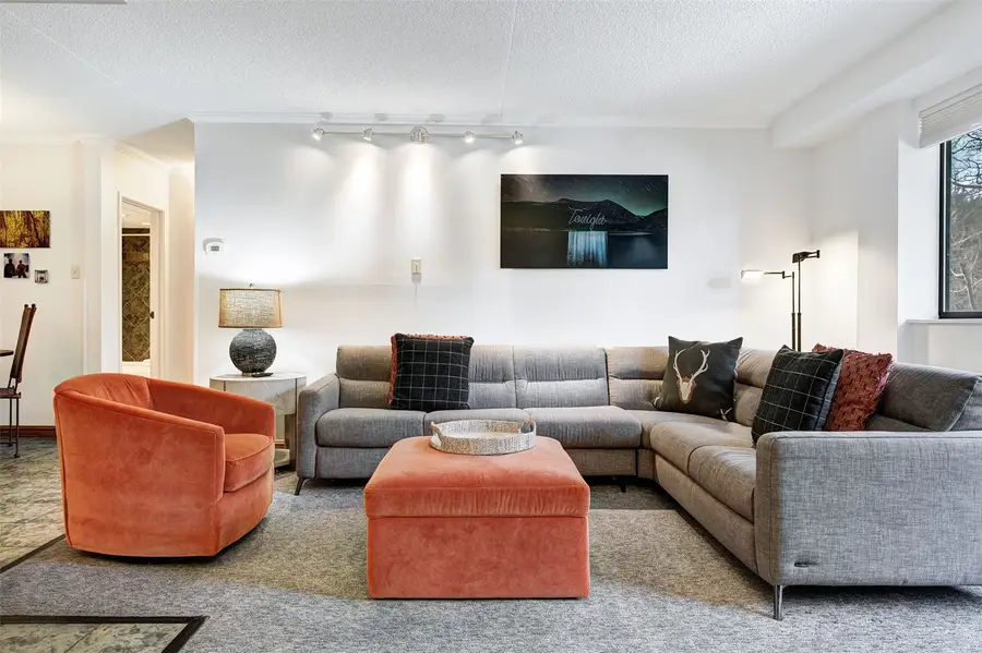 631 Village Road #146, Breckenridge, CO 80424 - #2