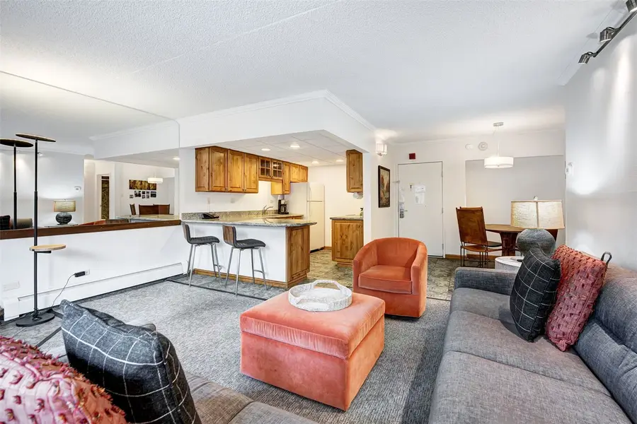 631 Village Road #146, Breckenridge, CO 80424 - #3