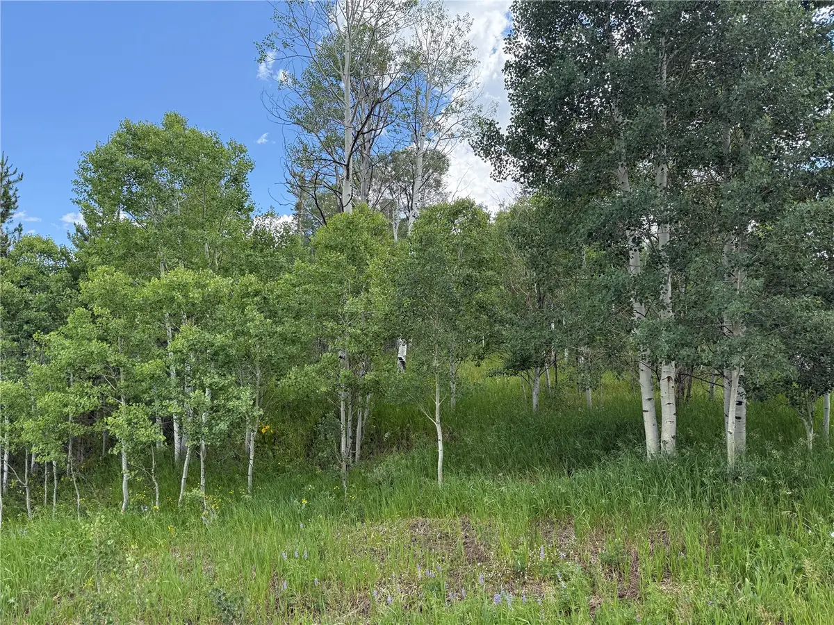 33413 Tewa Way, Oak Creek, CO 80467 - #1