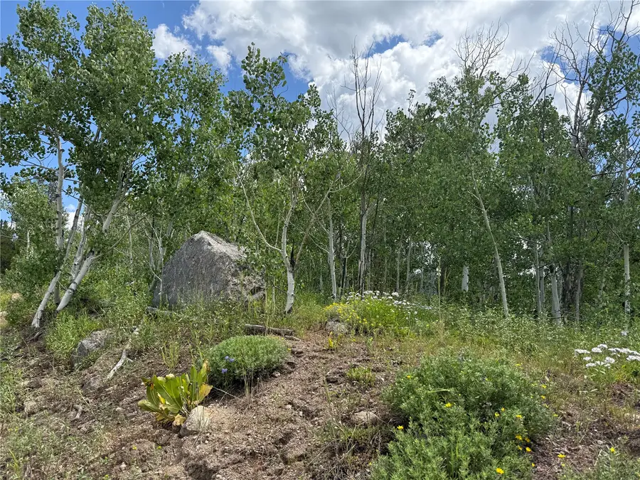 33413 Tewa Way, Oak Creek, CO 80467 - #2