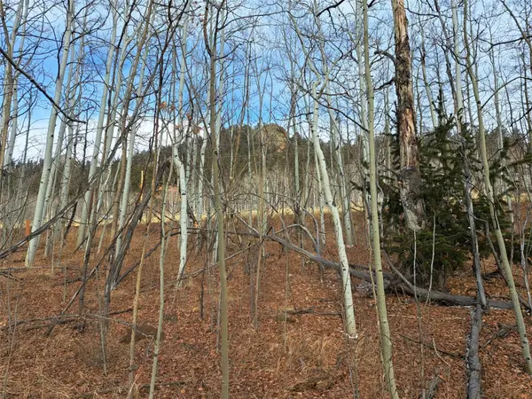 503 Sugar Loaf Lane, Jefferson, CO 80456