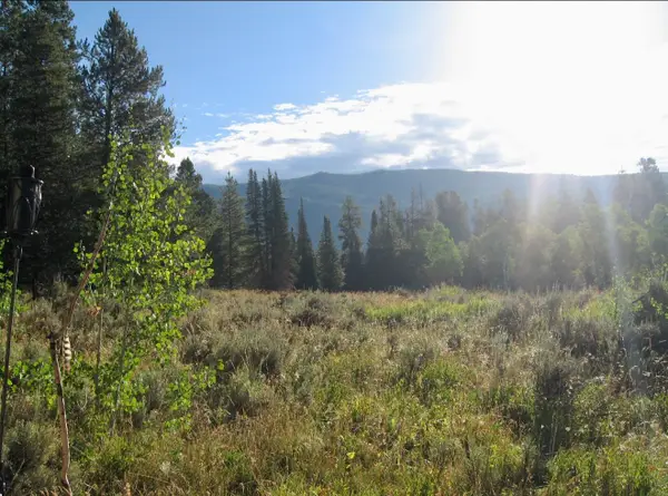 21505 Oglala Way, Oak Creek, CO 80467