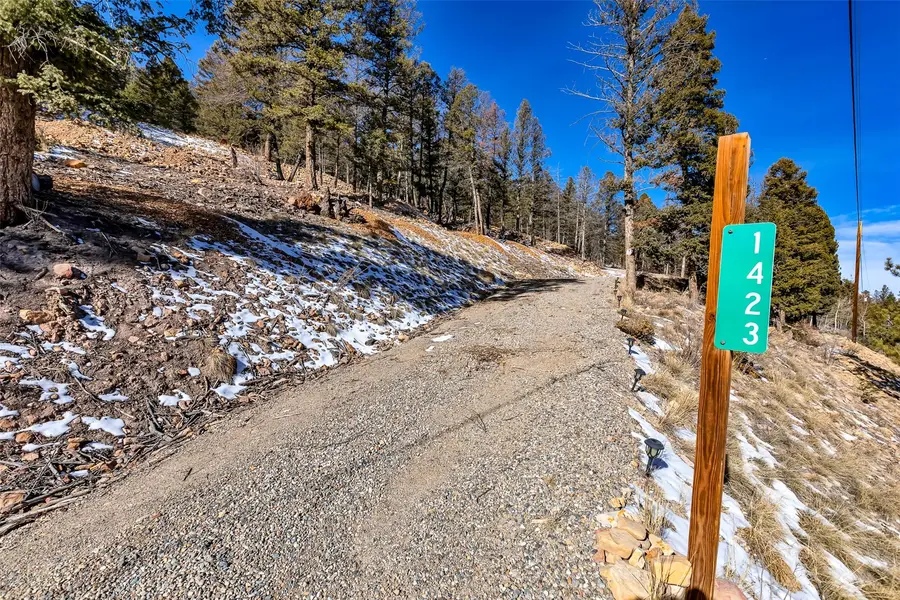 1423 Redhill Road, Fairplay, CO 80440 - #3