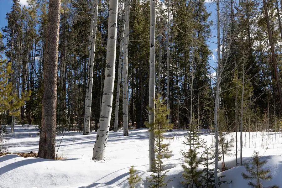 20905 Clydesdale Way, Oak Creek, CO 80467 - #3