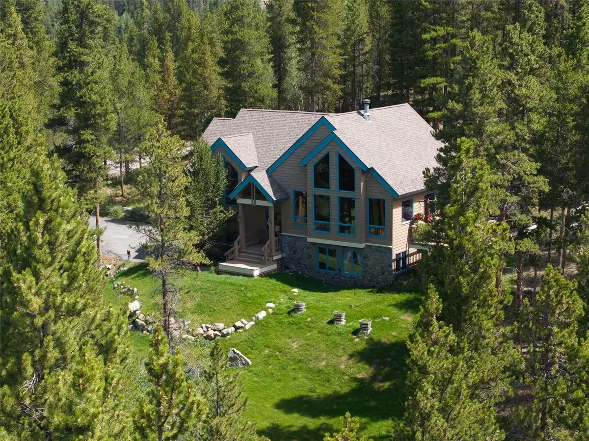 463 Blue Flag Circle, Breckenridge, CO 80424 - #1