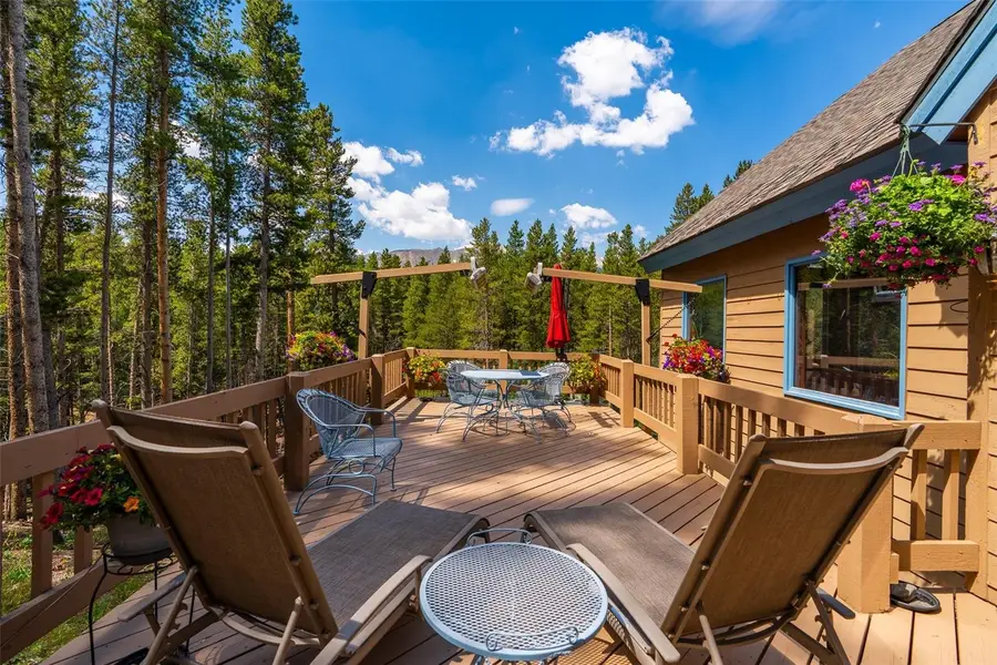 463 Blue Flag Circle, Breckenridge, CO 80424 - #3