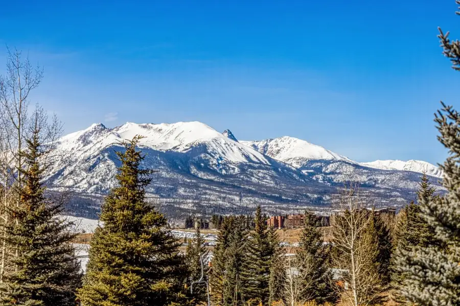 31 Corinthian Circle, Dillon, CO 80435 - #3