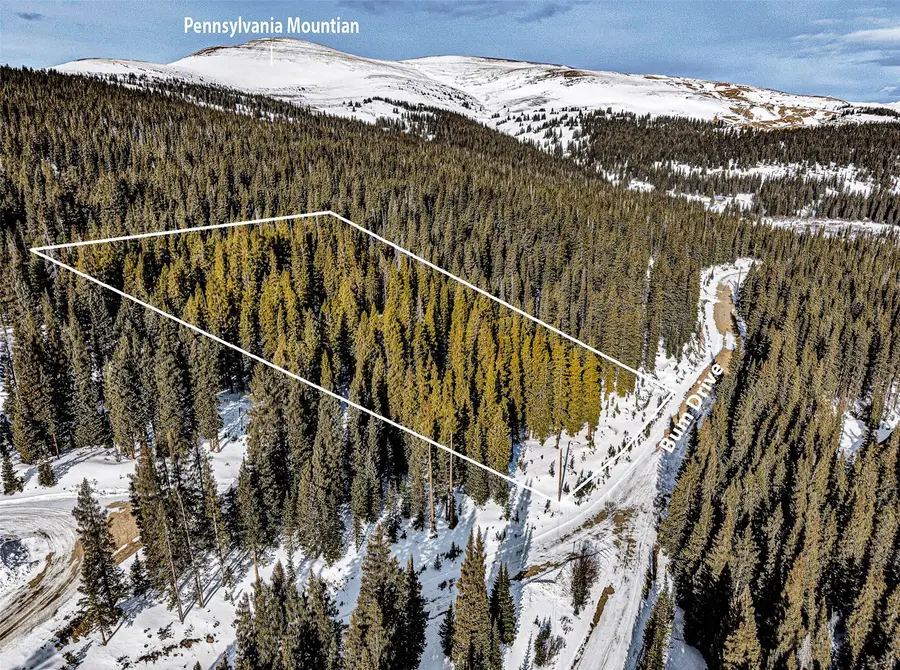 345 Bum Drive, Fairplay, CO 80440 - #2