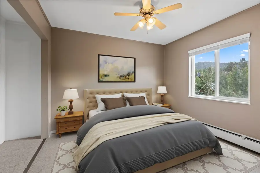 301 N French Street #303, Breckenridge, CO 80424 - #3