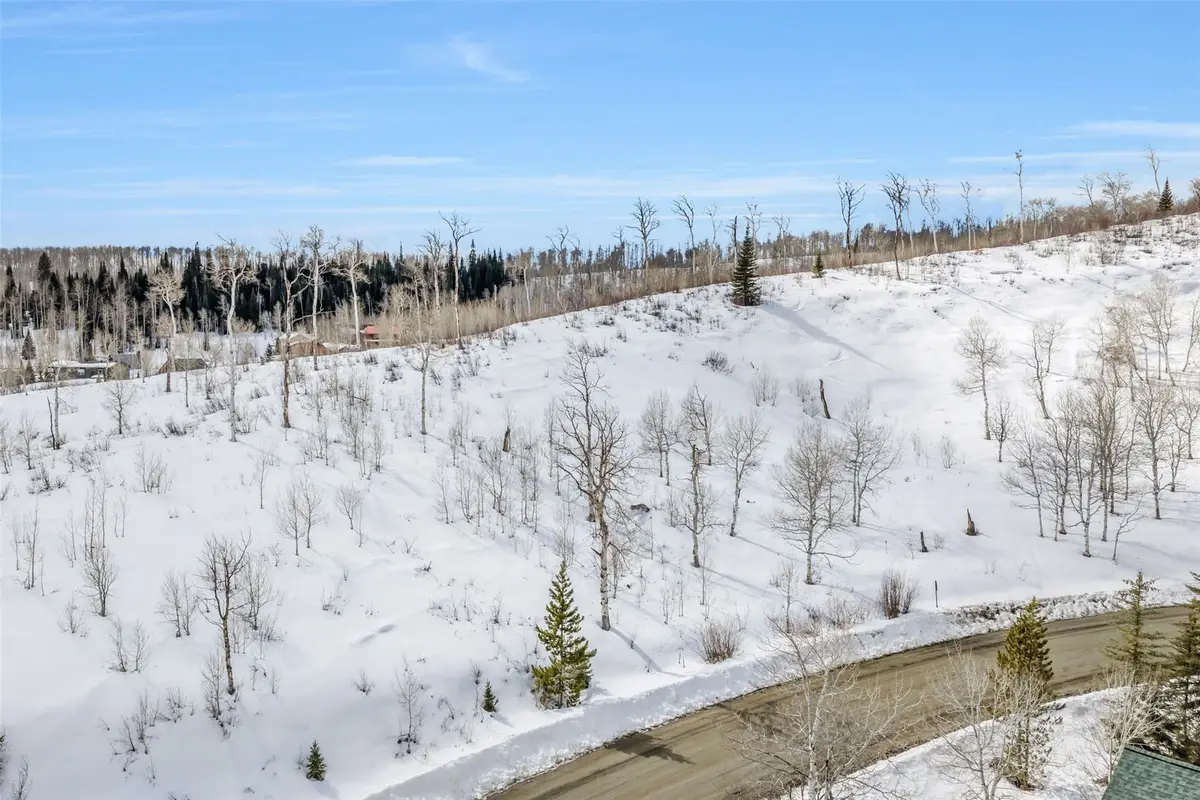 57615 Longfellow Way, Clark, CO 80428 - #1